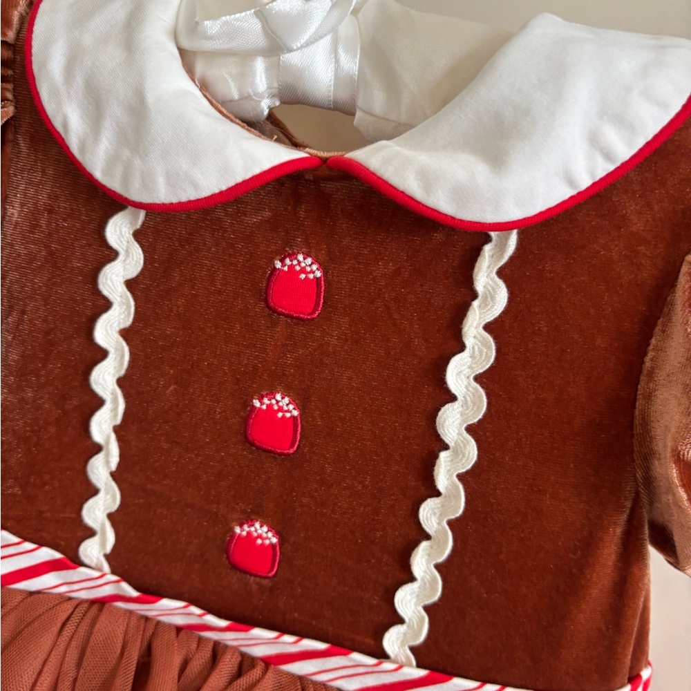 Taylor Joelle Gingerbread Dress - Size 4 - Picture 5 of 8